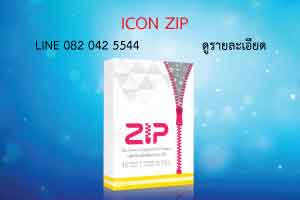 icon zip lock